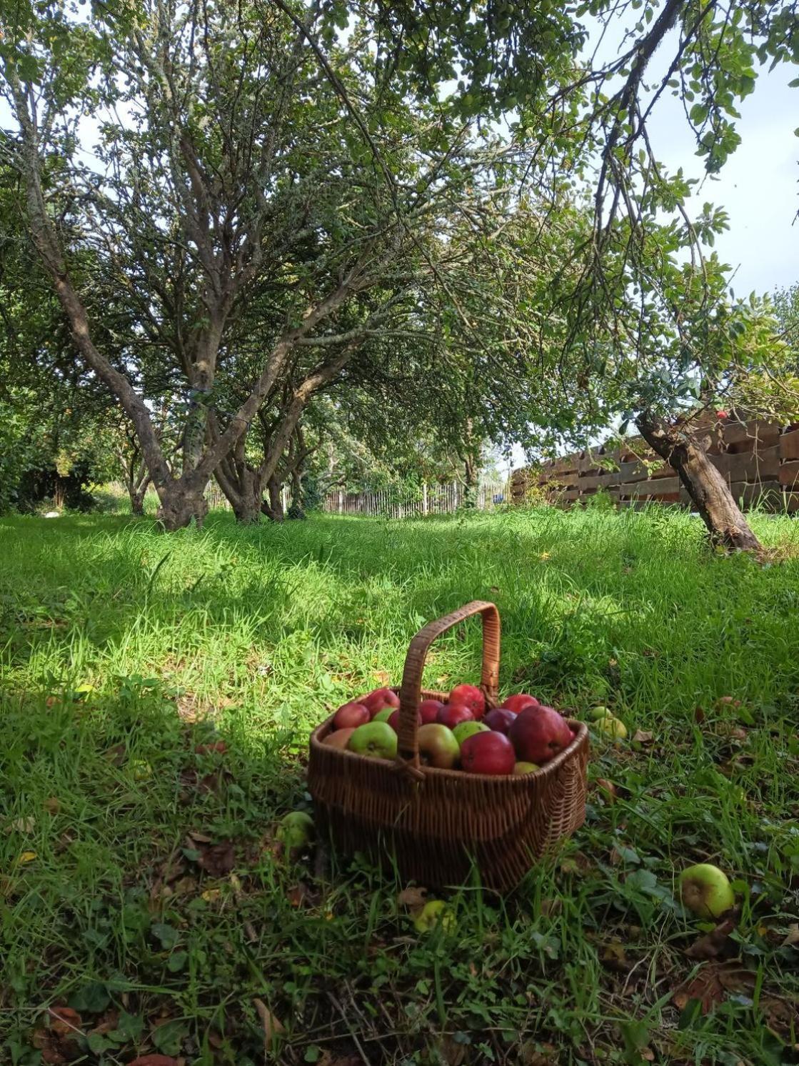 La Ferme De Penanguer * Loctudy